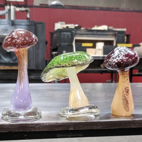 Glass Flowers and Mushrooms