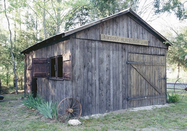 black history month stories