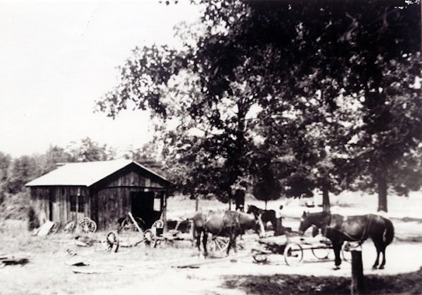 black history month stories