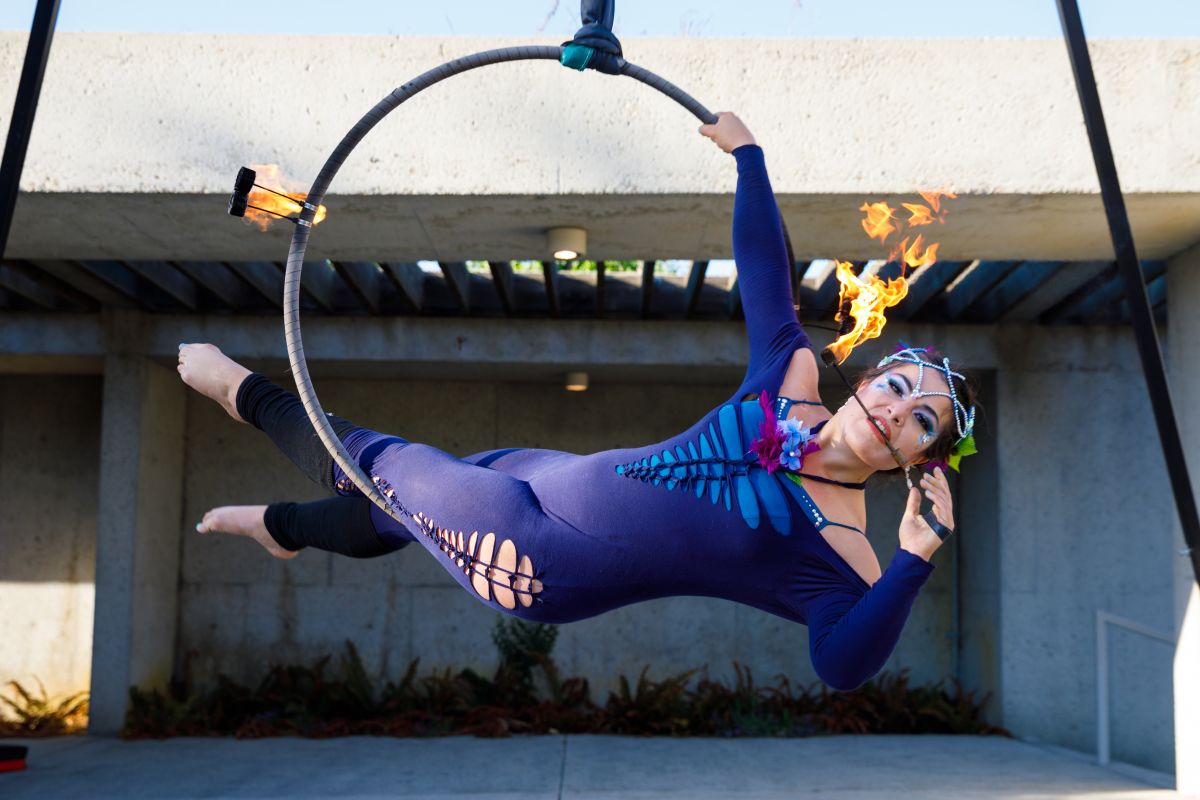 fire and light soiree 2022