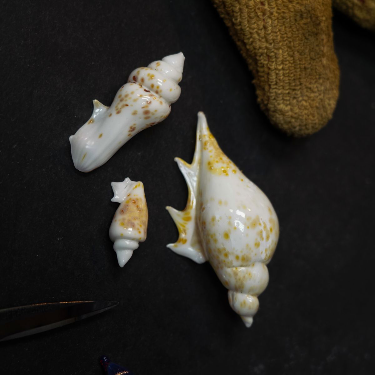 Guide april-june 2024