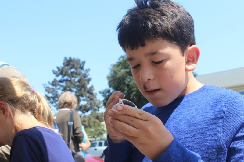 Fire and Water Open House_ August 2018_Raku Ceramics Glaze Hands on_0972